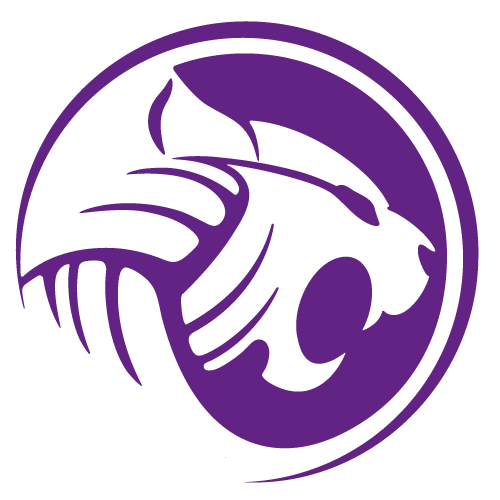 Logo club de football ASE Volley créé par Studio Tathtys